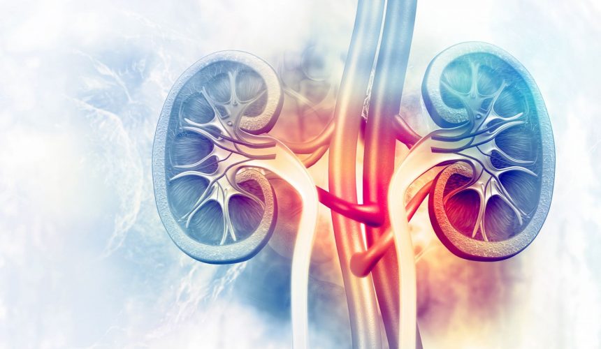 Urología Monterrey: ¿se puede curar el varicocele? Urología Monterrey: ¿se puede curar el varicocele?