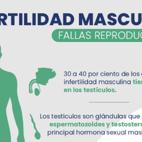 Infertilidad Masculina