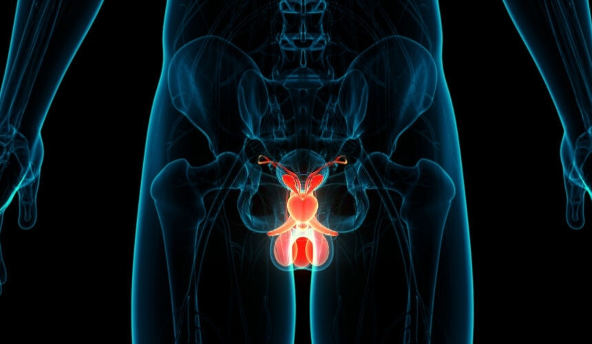 Todo lo que debe saber sobre la inflamación escrotal