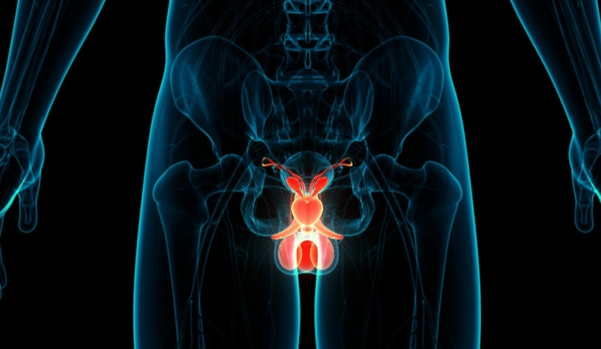 ¿Cuáles son los mejores tratamientos para el cáncer de próstata?