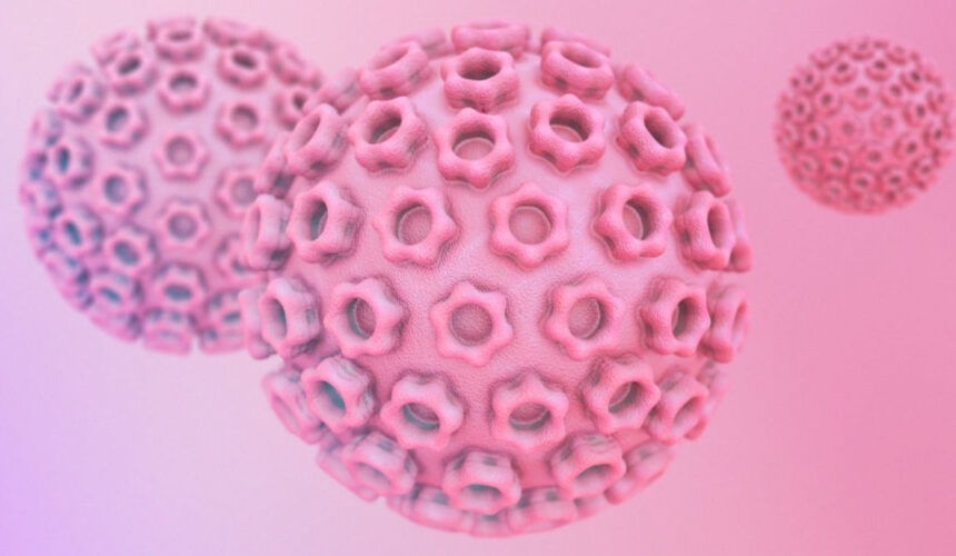 Urólogo en Monterrey: ¿cómo empieza el VPH en mujeres? Urólogo en Monterrey: ¿cómo empieza el VPH en mujeres?
