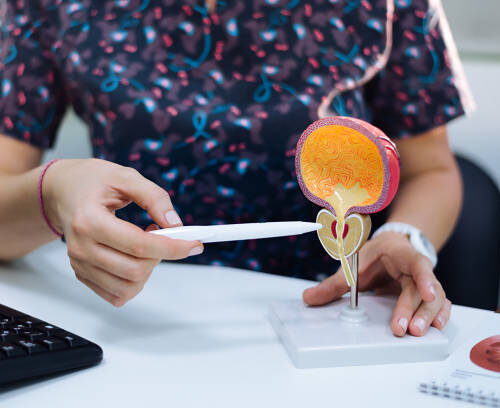 Mujeres y urología en Monterrey: Encontrando soluciones para infecciones